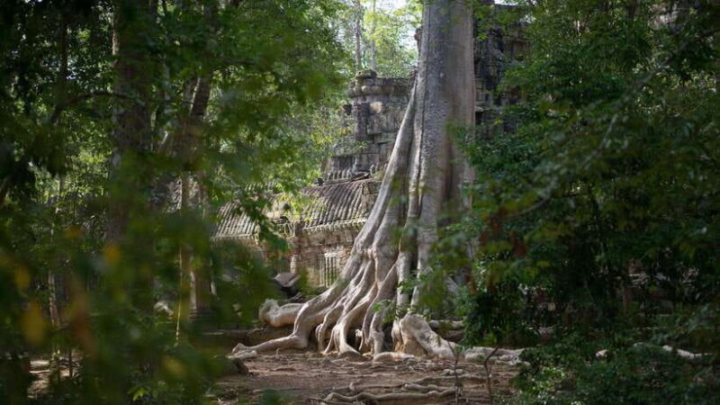 Siem Reap: Angkor Temples Off-Track Bicycle Tour - Detailed Review of the Siem Reap: Angkor Temples Off-Track Bicycle Tour