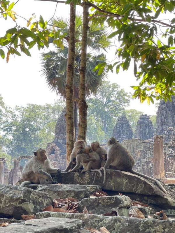 Siem Reap: Angkor Wat Private full Day Tour - What Travelers Say