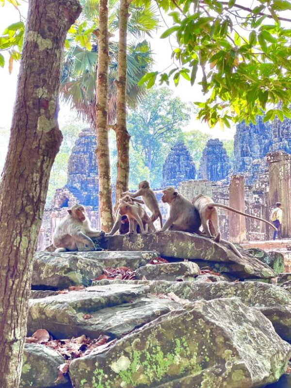 Siem Reap: Angkor Wat Private full Day Tour - Final Thoughts