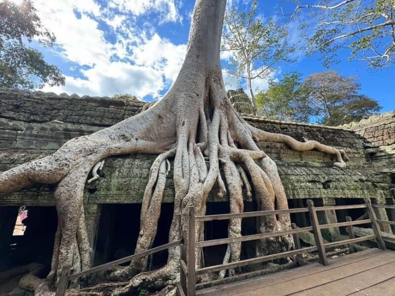 Siem Reap: Angkor Wat Small Group Tour with Spanish Guide - Detailed Review of the Angkor Wat Small Group Tour