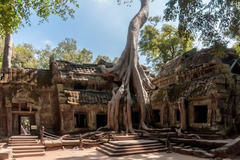 Siem Reap: Angkor Wat Sunrise and Full-Day Sightseeing Tour - Who This Tour Is Best For