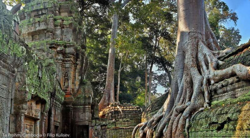 Siem Reap: Angkor Wat Temples & Phnom Kulen Park 3-Day Tour - Who Will Love This Tour?