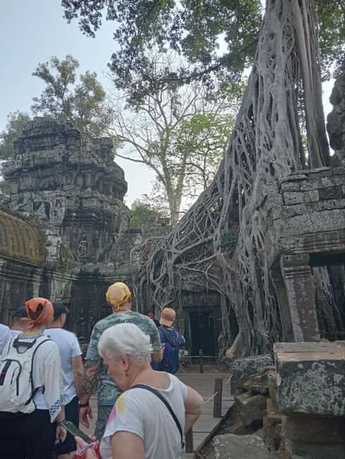 Siem Reap: Angkor Wat Tour with Italian-Speaking Guide - Who Is This Tour Best For?