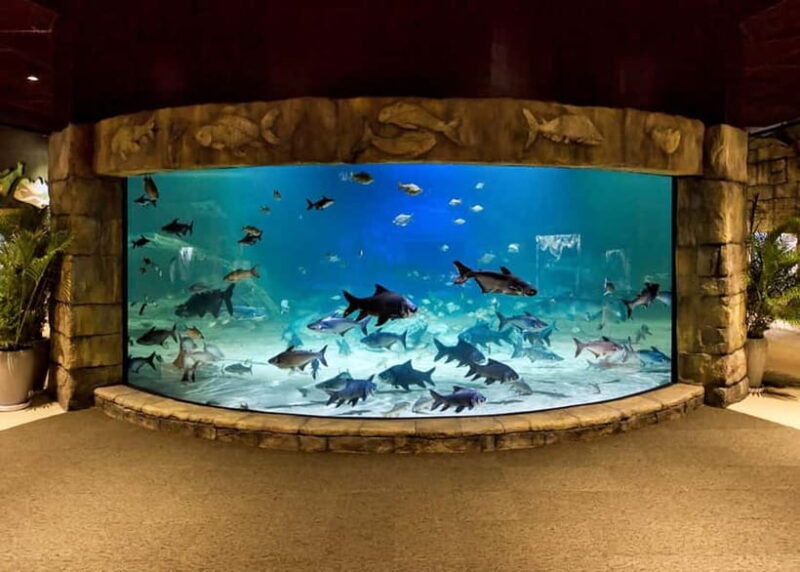 Siem Reap: Angkor Wildlife & Aquarium Entrance Ticket - Key Points