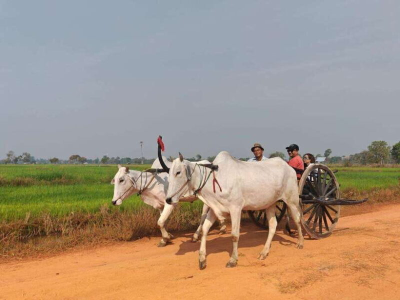 Siem Reap: Authentic Village Tour with Ox Cart Ride - Siem Reap: Authentic Village Tour with Ox Cart Ride