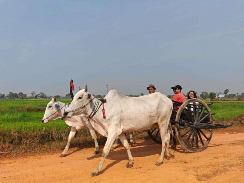 Siem Reap: Authentic Village Tour with Ox Cart Ride - Practical Details and Value