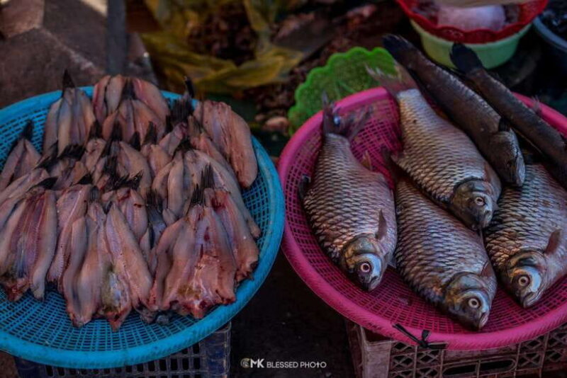 Siem Reap: Authentic Village Tour with Ox Cart Ride - FAQ