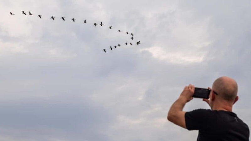 Siem Reap: Battambang Day Trip with French Tour Guide - Key Points