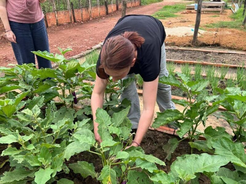 Siem Reap Cooking Class & Culinary Vespa Adventure - FAQ