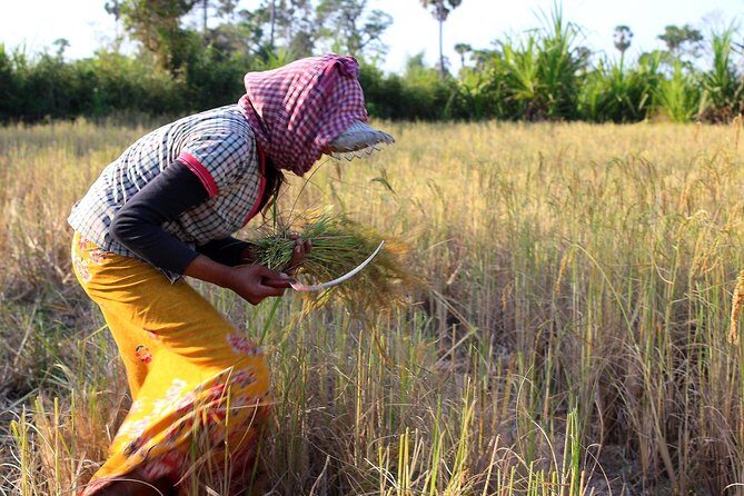 Siem Reap Countryside & Floating Village ( Meychrey) - Key Points