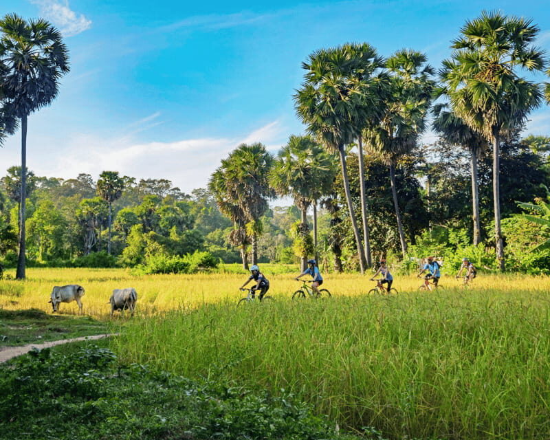 Siem Reap: Countryside Guided Tour by Bike and E-Bike - Authentic Encounters and Cultural Appreciation