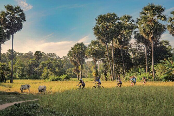 Siem Reap Countryside Guided Tour by Bike and E-Bike with Snacks - Key Points