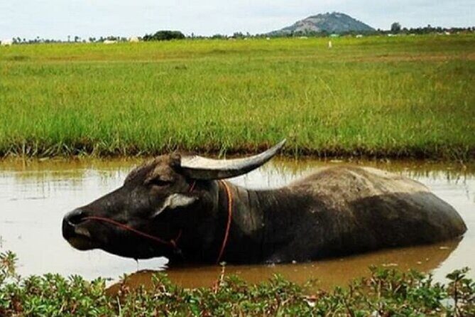 Siem Reap Countryside Sunset Jeep Tour - Half-day - Final Thoughts