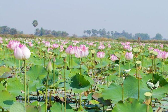Siem Reap Countryside Sunset Jeep Tour - Half-day - Frequently Asked Questions