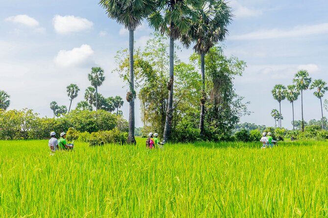 Siem Reap Countryside Tour by Vespa - Key Points