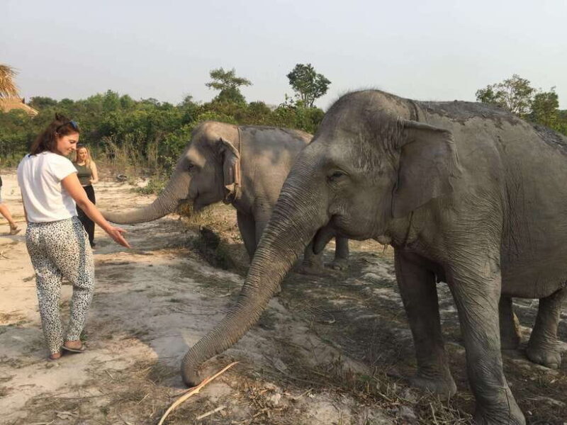 Siem Reap: Dine with Elephants, a Nature & Wildlife Journey - Key Points
