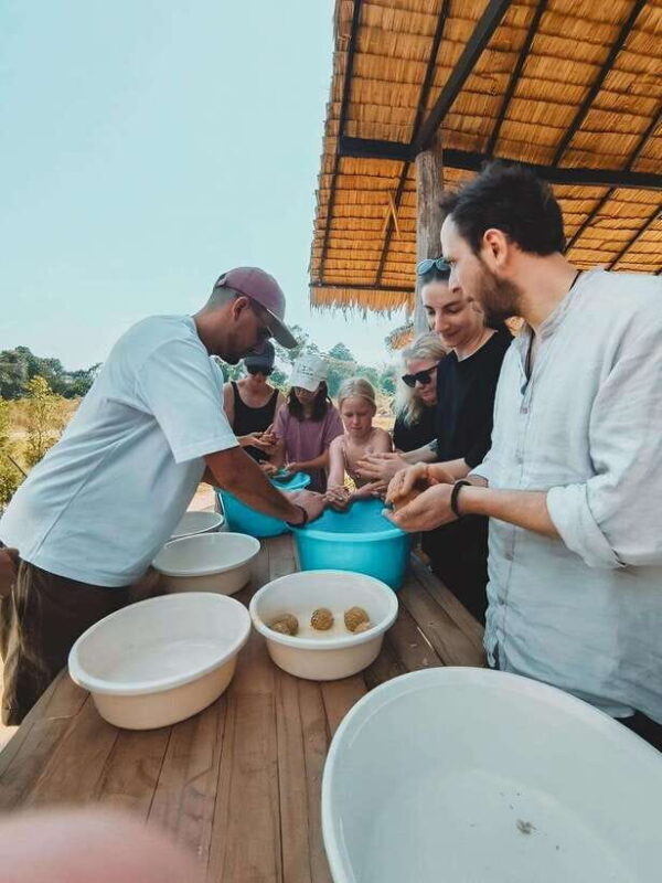 Siem Reap: Elephant Sanctuary Included Hotel Pickup Drop-off - Siem Reap Elephant Sanctuary: A Genuine Encounter with Gentle Giants