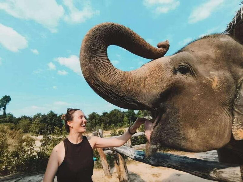Siem Reap: Elephant Sanctuary Included Hotel Pickup Drop-off - Key Points