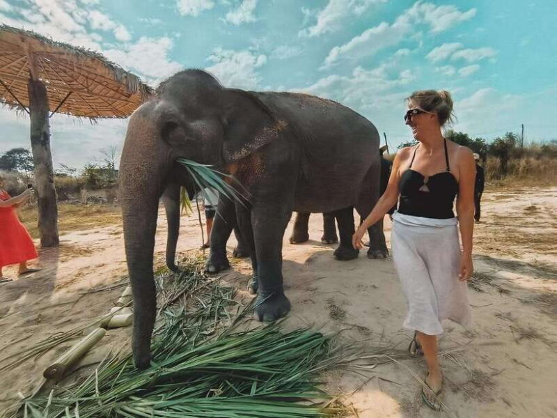 Siem Reap: Elephant Sanctuary Included Hotel Pickup Drop-off - FAQ