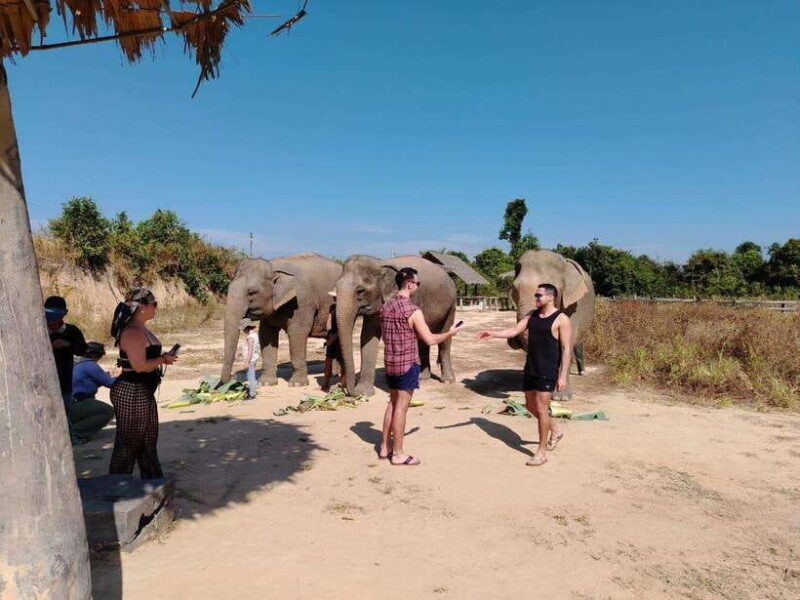 Siem Reap: Elephants & Apopo Rat Demining Private Trip - Final Thoughts
