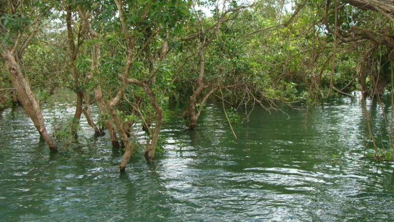 Siem Reap Floating Village Tour, Kompong Phluk Tour - Key Points