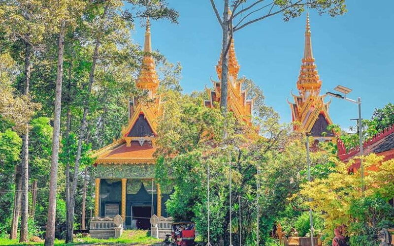 Siem Reap: FREE Market & Local Temple Tour - Who Should Consider This Tour?