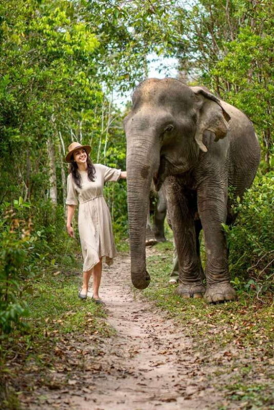 Siem Reap: Kulen Elephant Forest Guided Tour - An In-Depth Look at the Kulen Elephant Forest Guided Tour