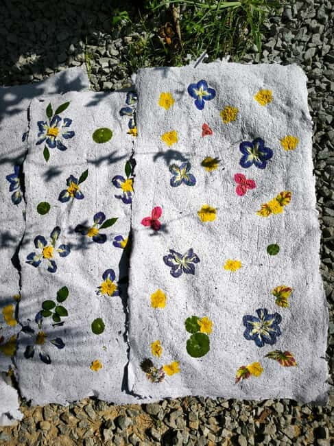 Siem Reap: Lotus Silk Farm - Guided Visit & 3 Craft Workshop - Who Will Love This Tour?