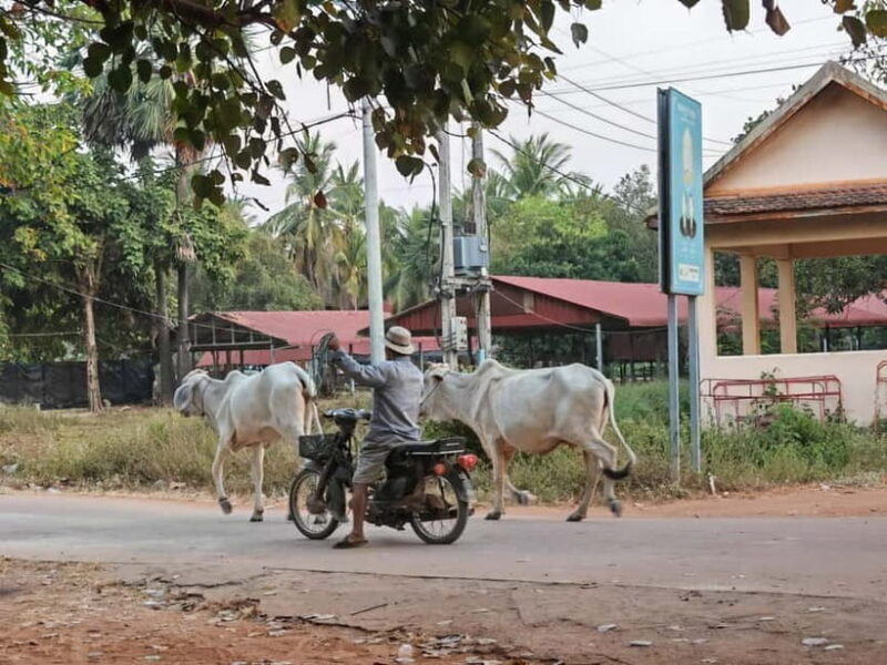 Siem Reap: Monk Blessings and Village Life Scooter Tour - Who Should Book This?
