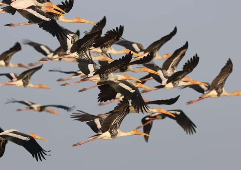 Siem Reap Nature & Cultural Safari Cycling Adventure - Key Points