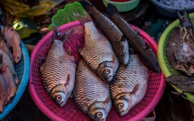 Siem Reap: Night Market Street Food Tour with Dinner - Key Points