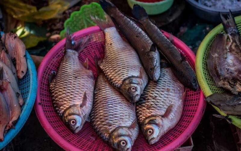 Siem Reap: Night Market Street Food Tour with Dinner - The Sum Up