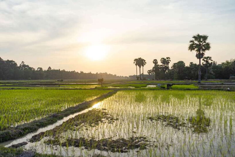 Siem Reap: Off-Road Ride Haft Day Tour - FAQ