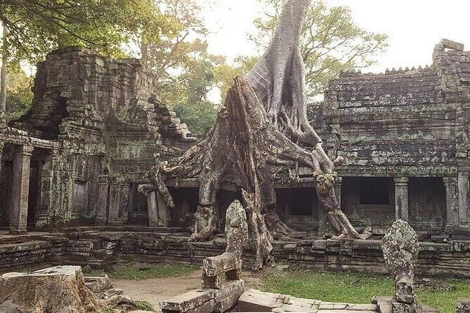 Siem Reap Private Car Tour: Angkor Grand Circuit (Half Day) - The Sum Up