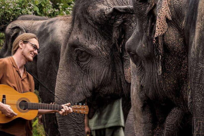 Siem Reap: Small Group Tour of Kulen Elephant Forest - Siem Reap: Small Group Tour of Kulen Elephant Forest