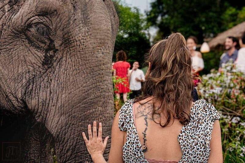 Siem Reap: Small Group Tour of Kulen Elephant Forest - Final Thoughts