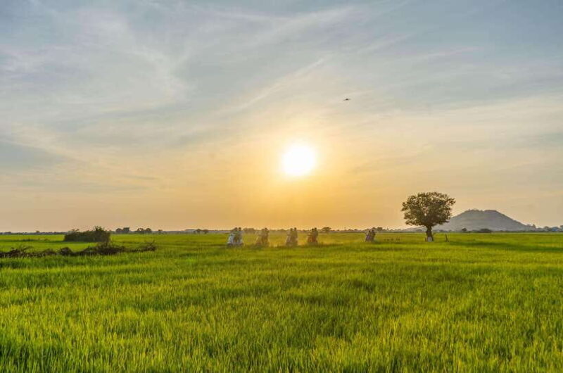 Siem Reap: Sunset Guided Vespa Tour & Local Villages - Explore Cambodia’s Countryside with a Vespa