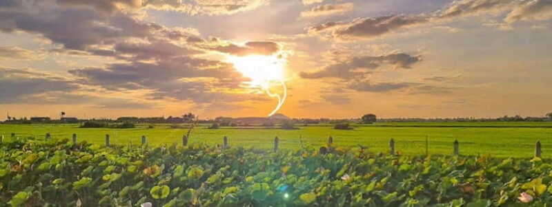 SiemReap Sunset Dinner Riding an Ox-Cart at Rice Paddy Field - The Itinerary: What to Expect