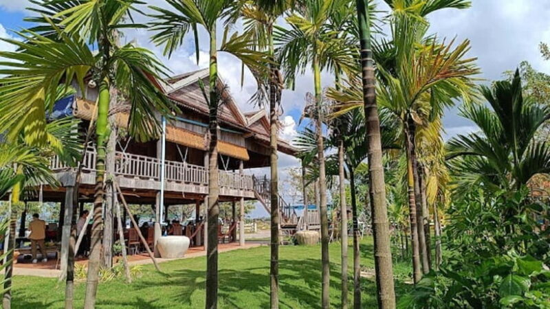 SiemReap Sunset Dinner Riding an Ox-Cart at Rice Paddy Field - Why This Tour Stands Out