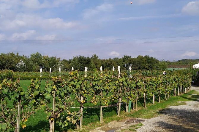 Siena and San Gimignano from Rome: Tuscany Wine Tour, Small Group - Closing Thoughts