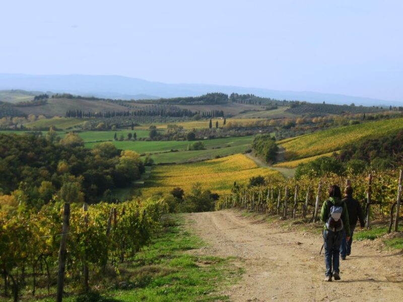 Siena: Half-day Guided Hike to Monteriggioni - Siena: Half-day Guided Hike to Monteriggioni — A Deep Dive into Tuscany’s Countryside