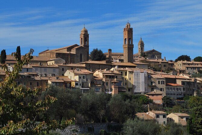 Siena Private Walking Tour With A Professional Guide - The Sum Up