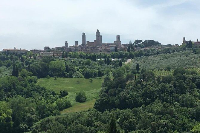 Siena, San Gimignano and Pisa from Lucca - Final Words: Is This Tour Right for You?