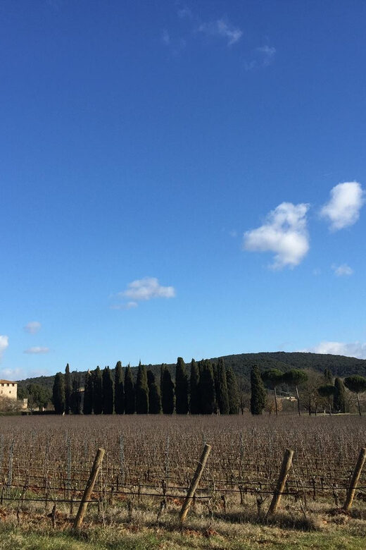 Siena: Tour and Wine Tasting in a Tuscan Private Castle - Who Will Love This Tour