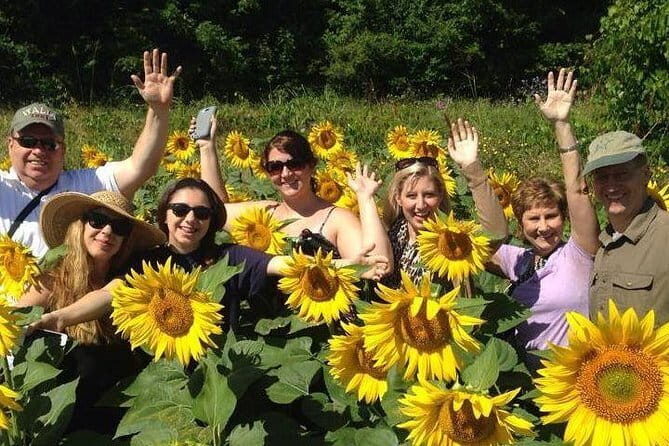 Siena & Tuscany - Siena & Tuscany: A Day of Medieval Charm, Culinary Delights, and Scenic Views