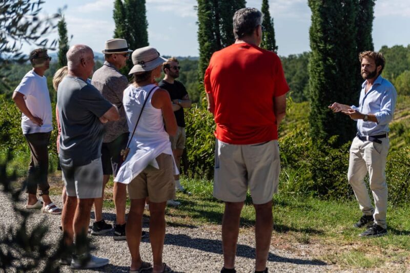 Siena: Winery tour/tasting with owner/maker of awarded wines - Key Points