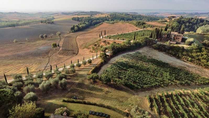 Siena: Winery tour/tasting with owner/maker of awarded wines - An In-Depth Look at the Experience