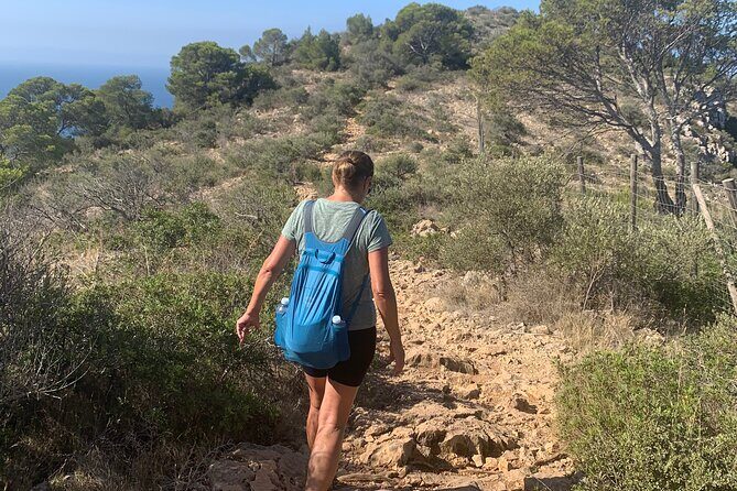 Sierra de Tramuntana hike with transportation and small picnic - Who Should Consider This Tour?