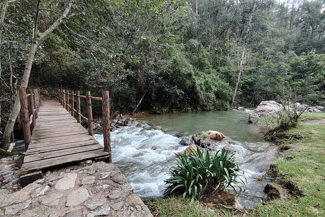 Sierra Juarez Private Tour - Who Is This Tour Best For?