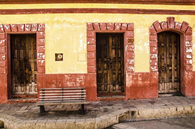 SIerra Madre Highland bird and Tuito - Exploring Puerto Vallarta’s Birding Paradise: Sierra Madre Highlands Bird Tour & Tuito